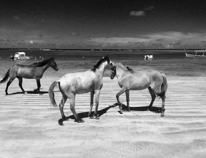 ベッドアンドブレックファースト Villa Albardão Serrambi