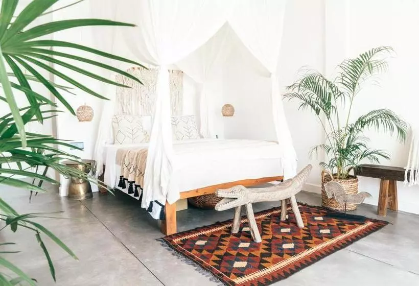ホテル Dreamsea Sri Lanka
