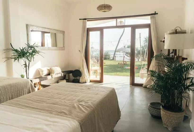 ホテル Dreamsea Sri Lanka