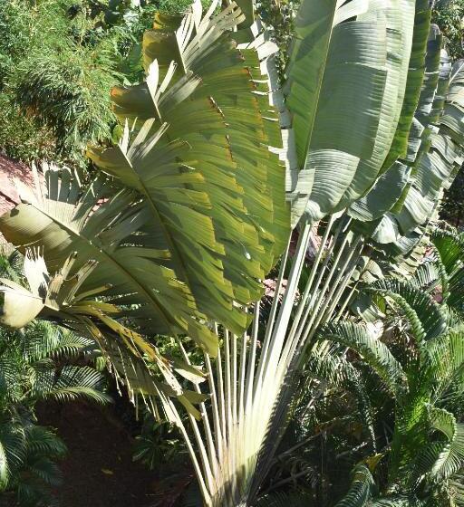 فندق The Village