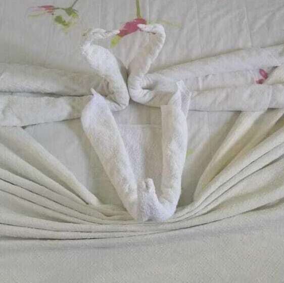 Pension (Hôtel basse catégorie) Pousada Arcoverde Do Porto