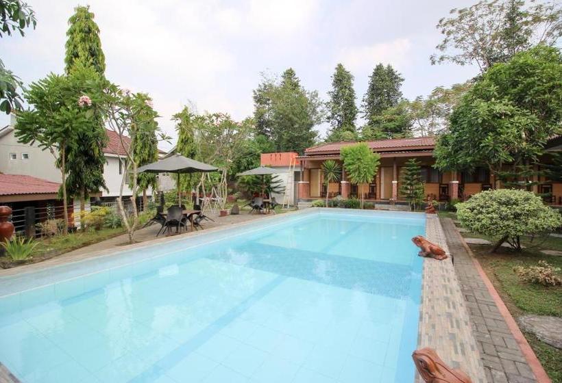 Pension Reddoorz Plus @ Jalan Damai 2