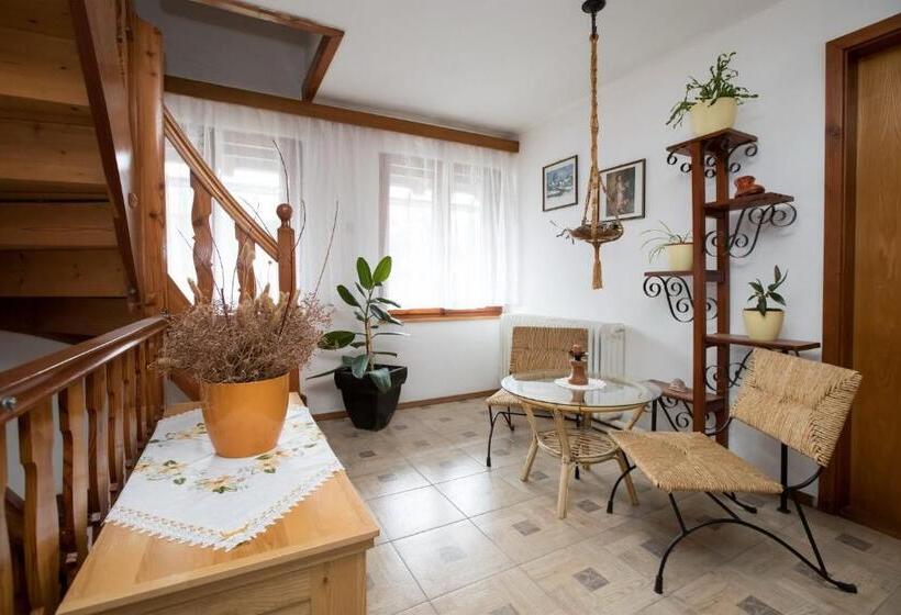 پانسیون Sobe Odar Andrej