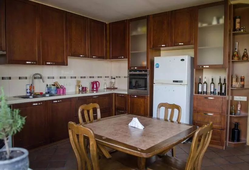 پانسیون Terrace House Tbilisi