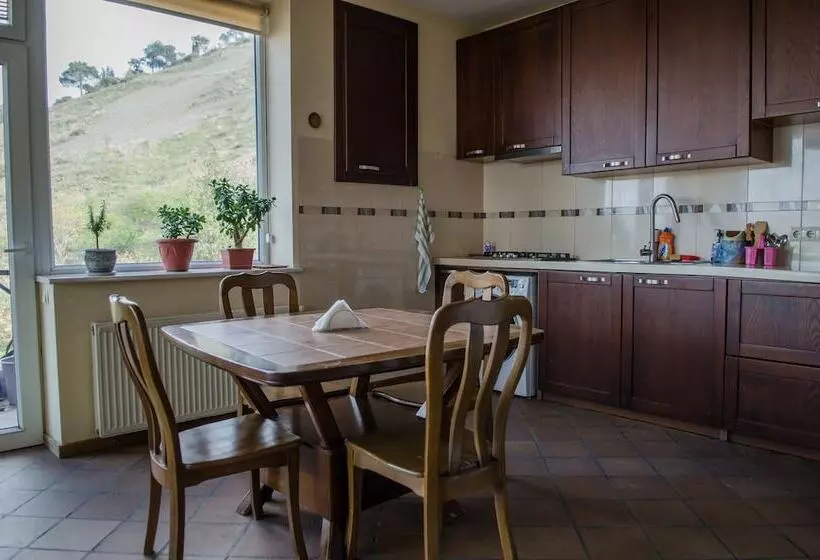 پانسیون Terrace House Tbilisi