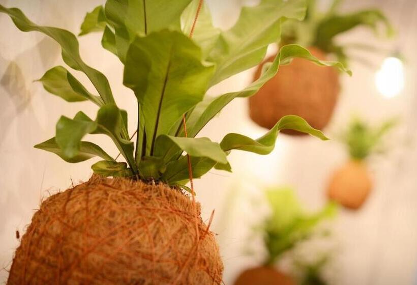 펜션 The Corner House Hostel