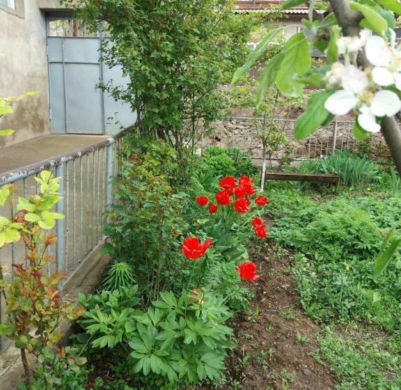 Aida Bed & Breakfast