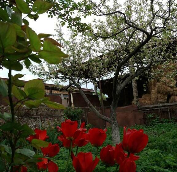 Aida Bed & Breakfast