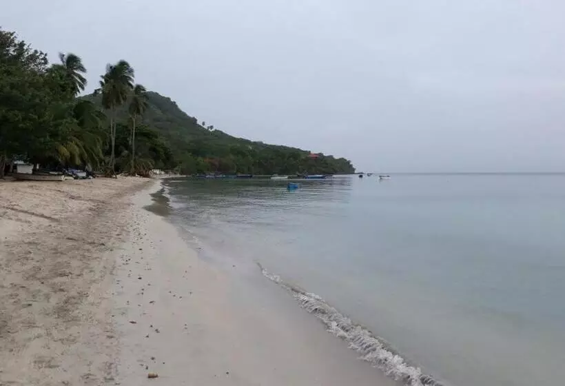 ユースホステル Posada Miss Portia