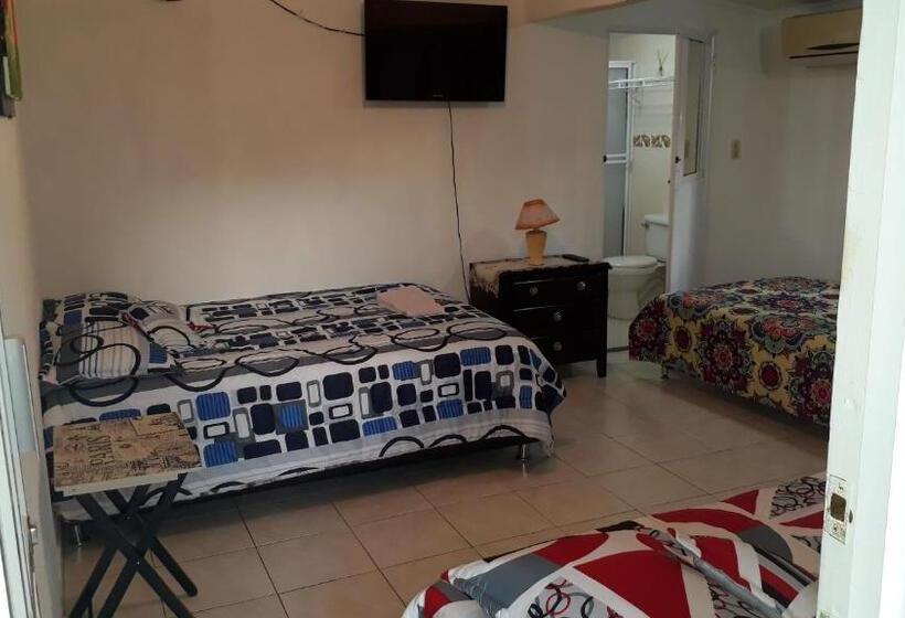 هاستل Posada Miss Portia