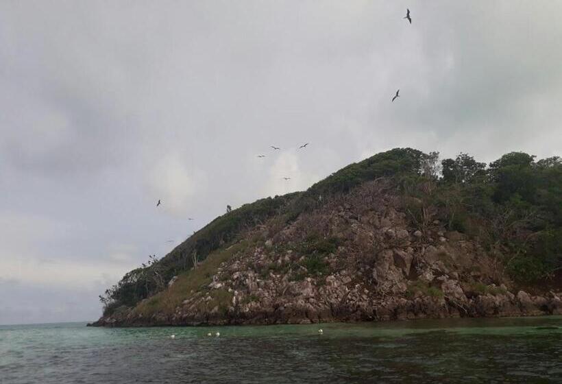 هاستل Posada Miss Portia