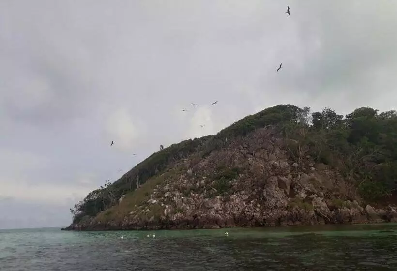 ユースホステル Posada Miss Portia