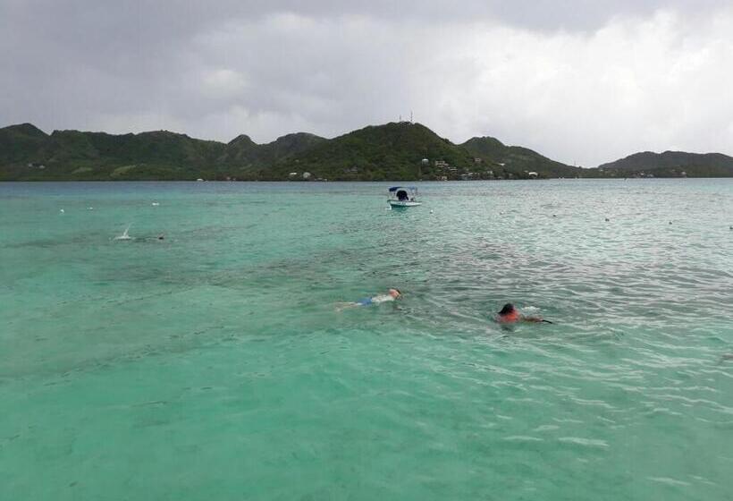 هاستل Posada Miss Portia