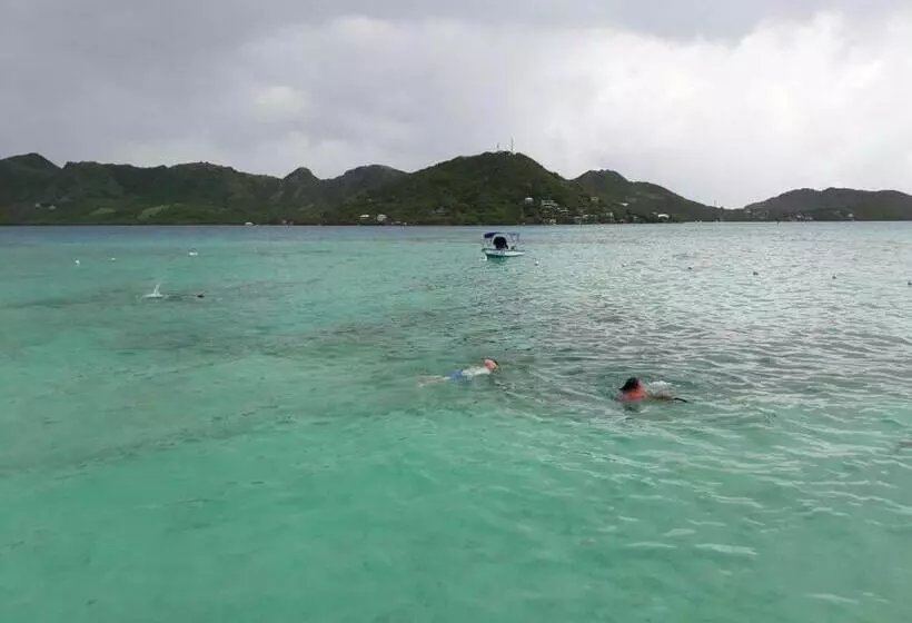 ユースホステル Posada Miss Portia