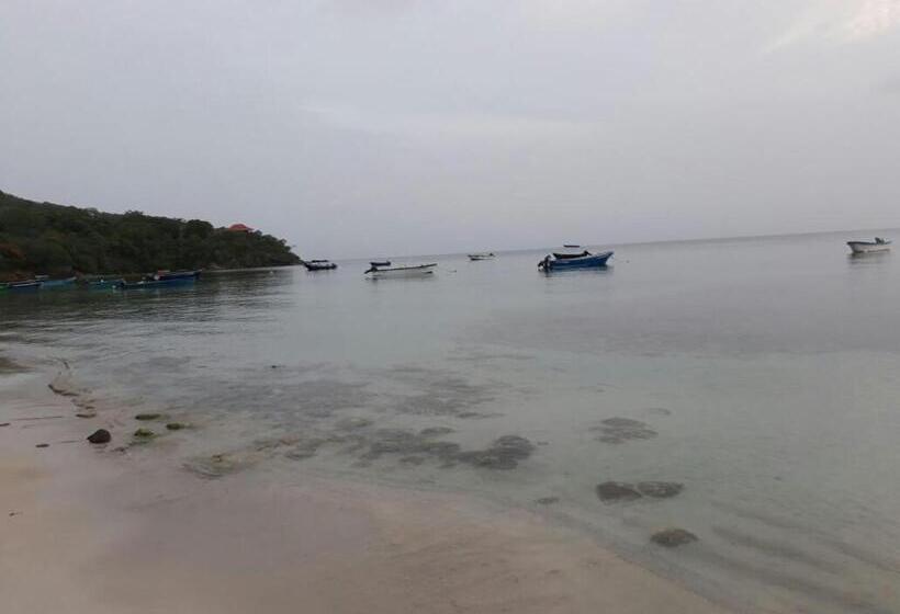 هاستل Posada Miss Portia