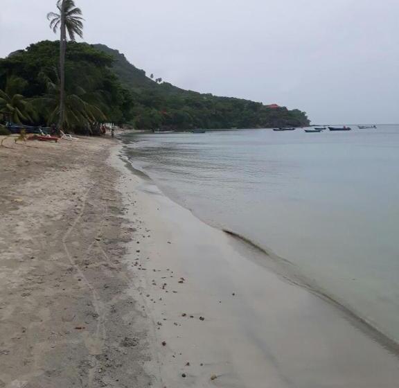 هاستل Posada Miss Portia