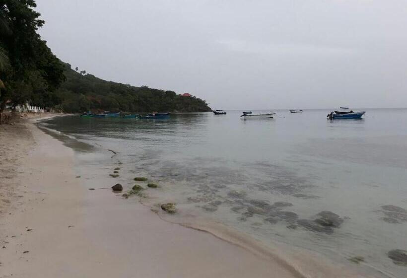 هاستل Posada Miss Portia