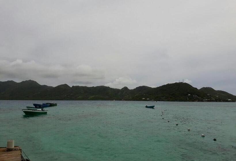 هاستل Posada Miss Portia