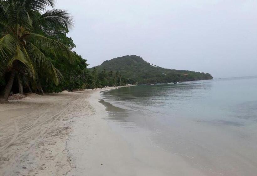 هاستل Posada Miss Portia