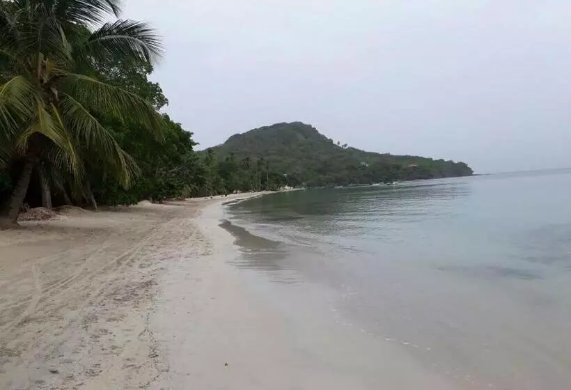 ユースホステル Posada Miss Portia