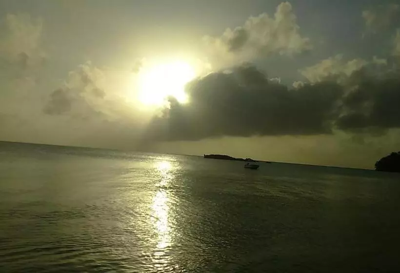 ユースホステル Posada Miss Portia