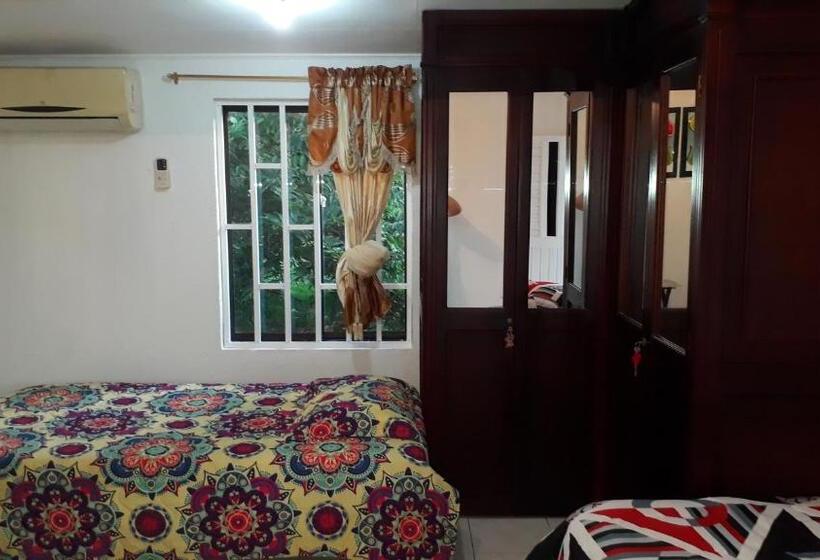 هاستل Posada Miss Portia