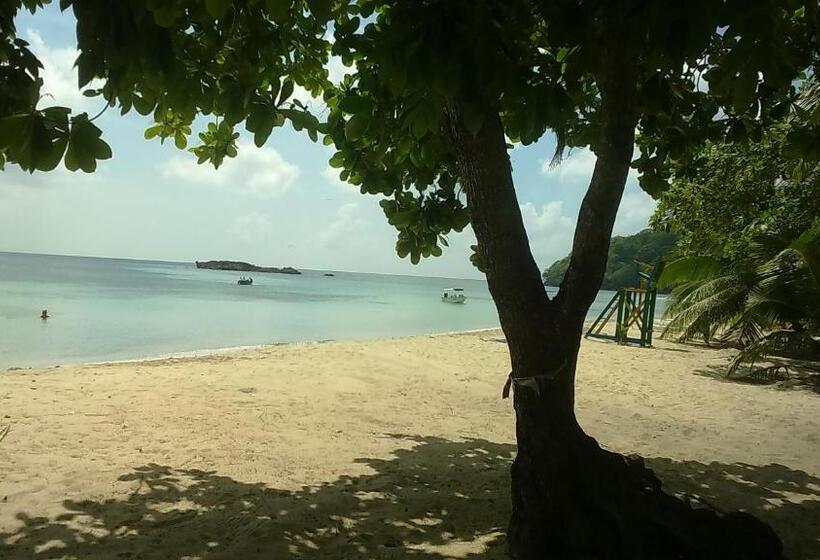 هاستل Posada Miss Portia