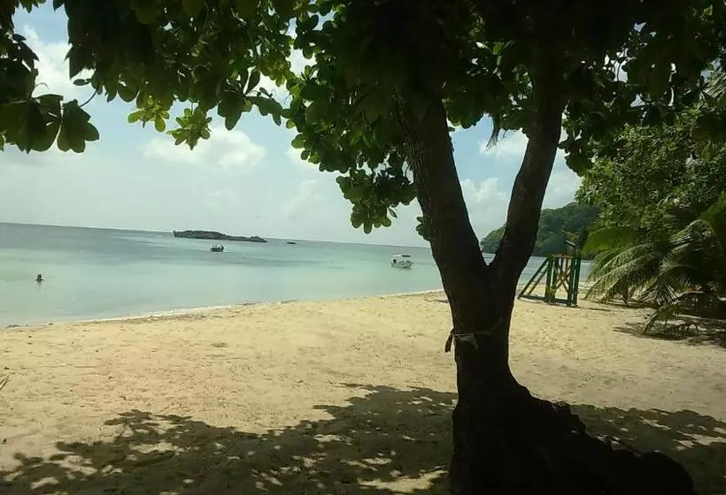 ユースホステル Posada Miss Portia