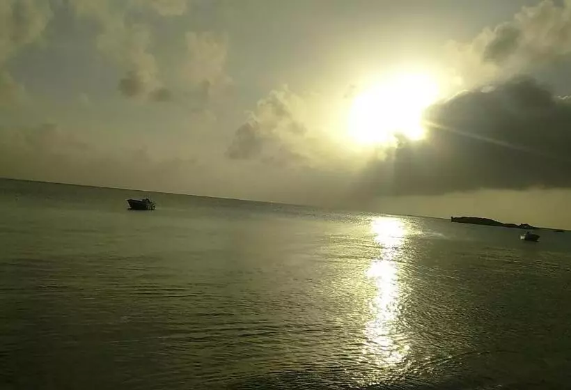 ユースホステル Posada Miss Portia