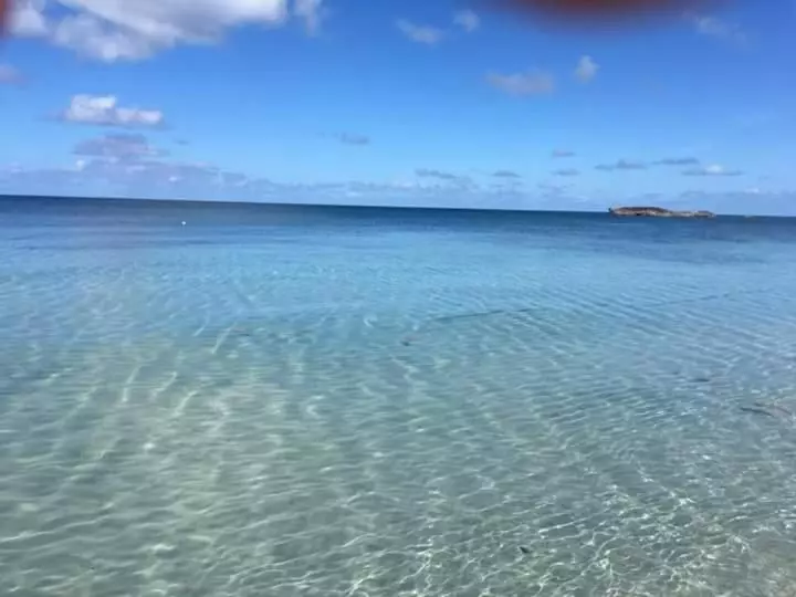 ユースホステル Posada Miss Portia