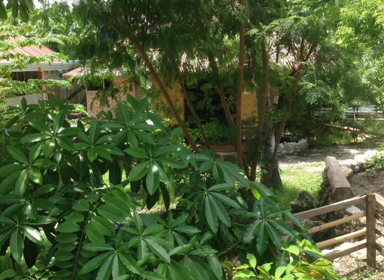 צימר Liwayway Sa Bohol Pamilacan Resort