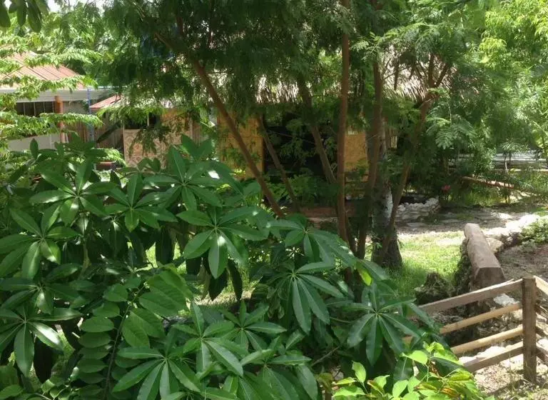 Aamiaismajoitus (B&B) Liwayway Sa Bohol Pamilacan Resort