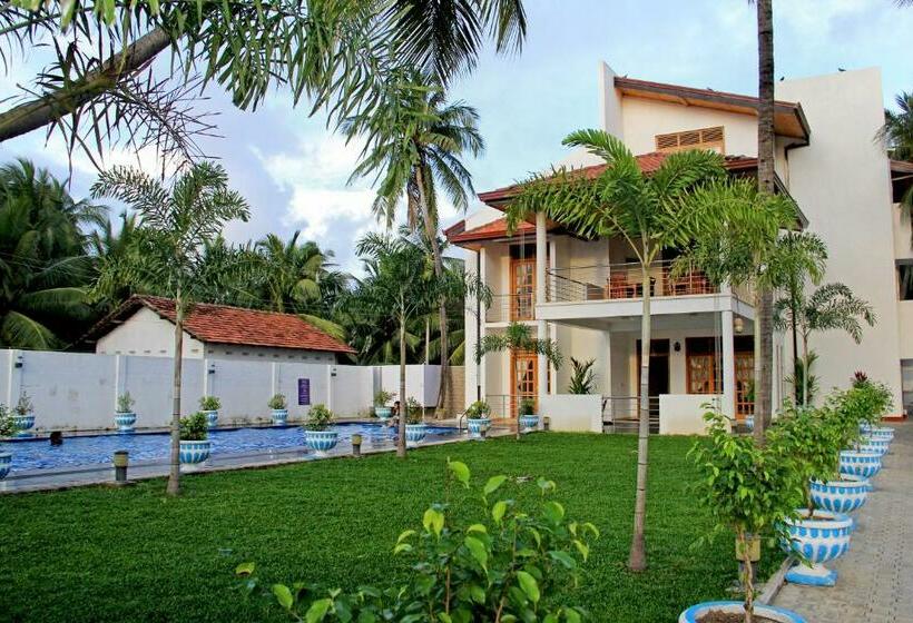 Hôtel Bluewater Beach Resort