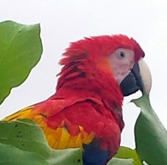 호텔 Cabinas Jimenez