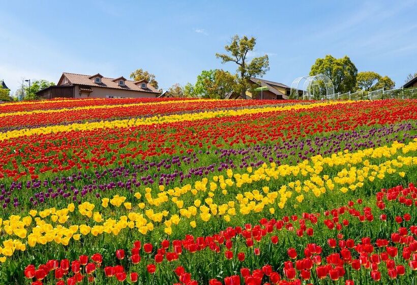 בית מלון כפרי Seoul Garden