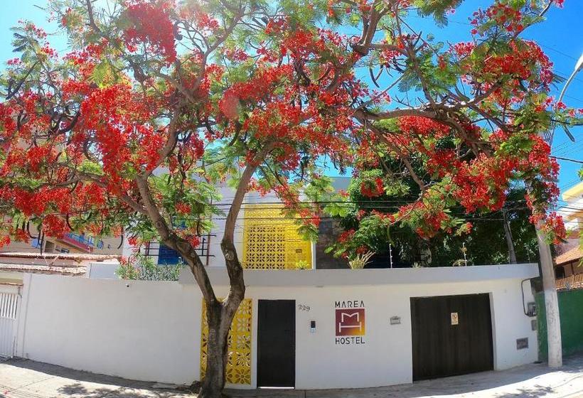 הוסטל Guest House Cabo Frio