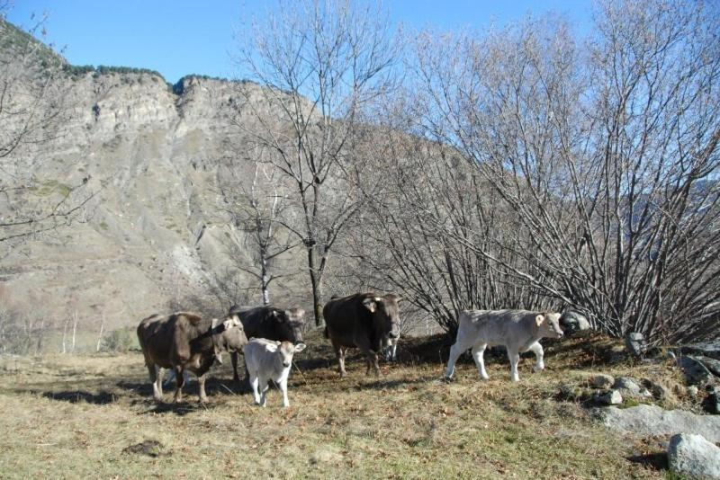 פנסיון Casa Rural Casa Colom