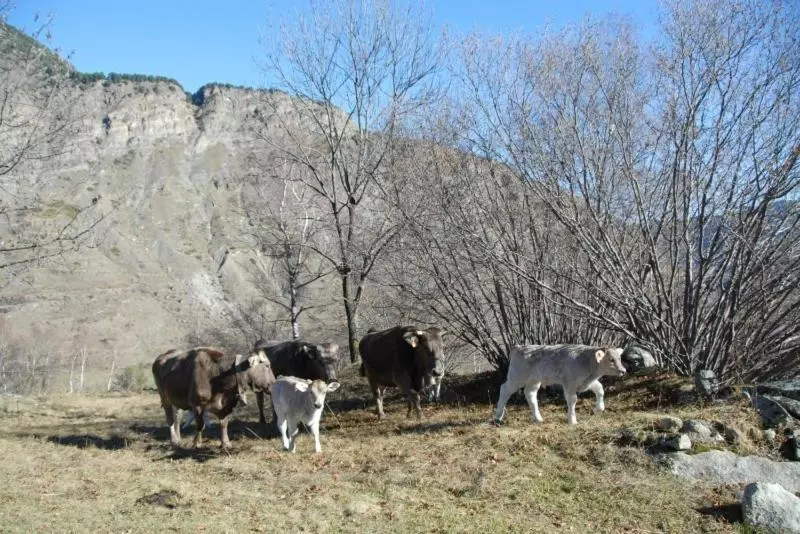 پانسیون Casa Rural Casa Colom