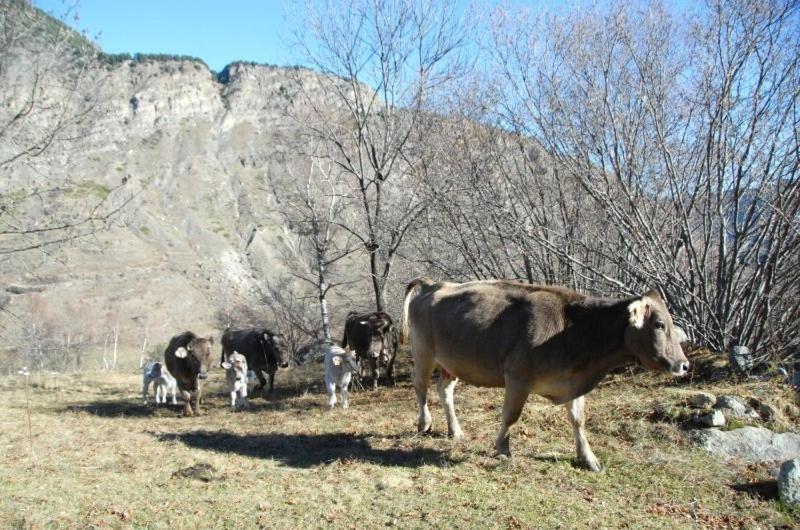 פנסיון Casa Rural Casa Colom