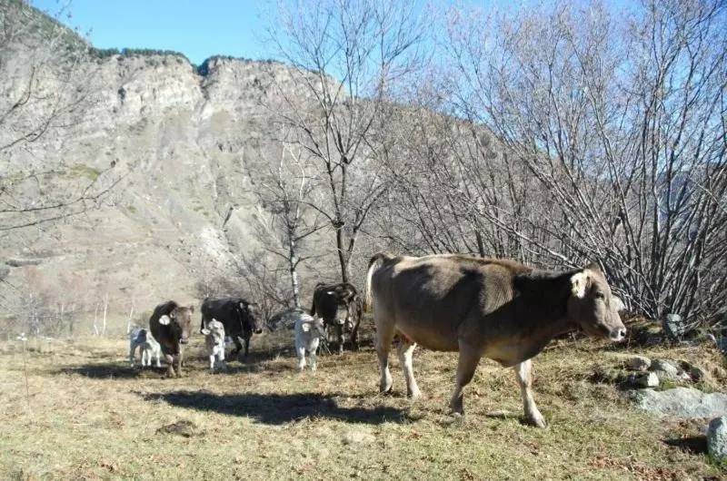 پانسیون Casa Rural Casa Colom