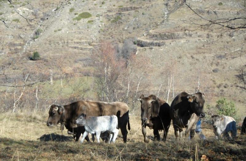 פנסיון Casa Rural Casa Colom