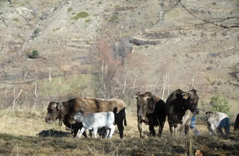 پانسیون Casa Rural Casa Colom