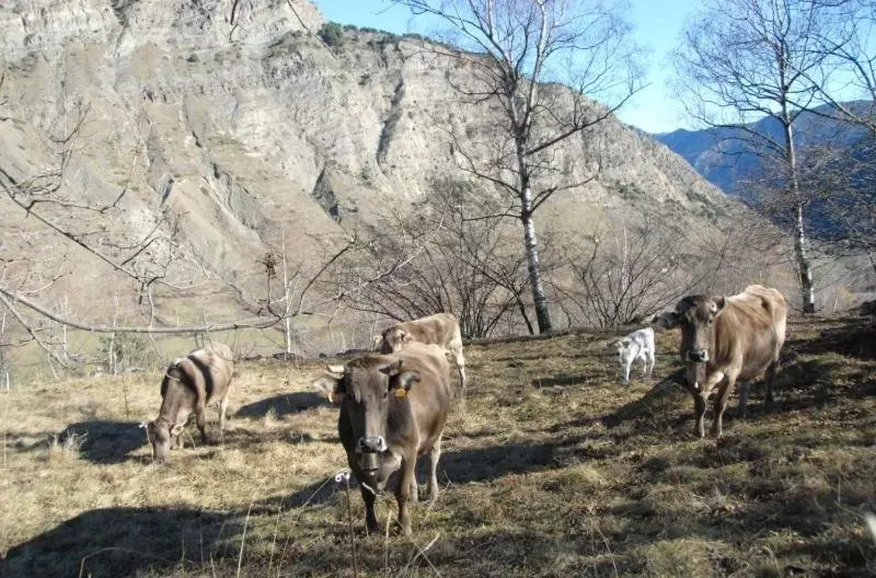 پانسیون Casa Rural Casa Colom