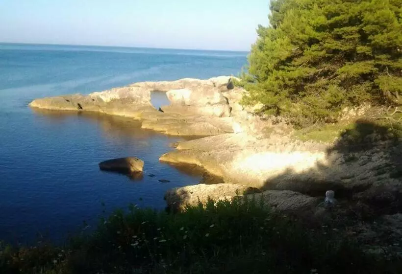 پانسیون Guest House Aldin
