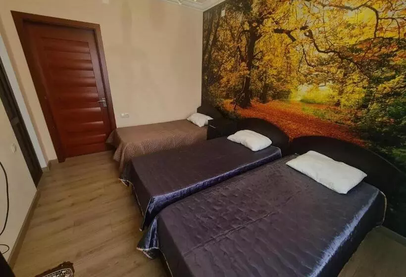 پانسیون Guest House Rustaveli
