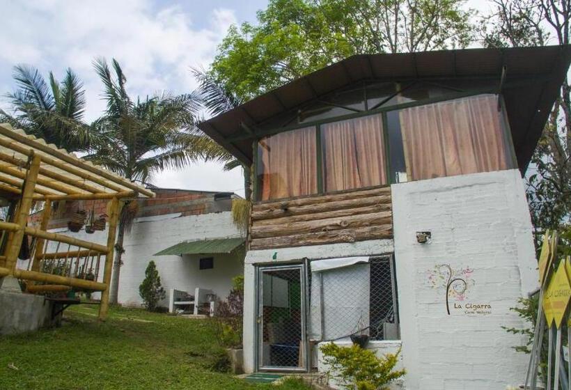 ペンション La Cigarra Casa De Huéspedes