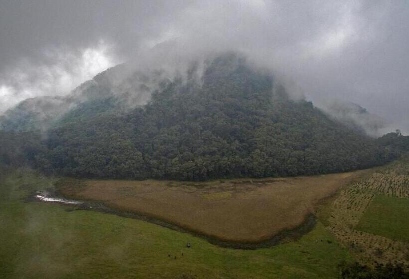 ペンション La Cigarra Casa De Huéspedes