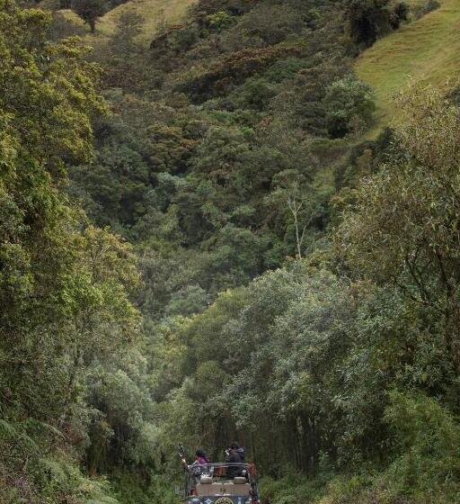 ペンション La Cigarra Casa De Huéspedes