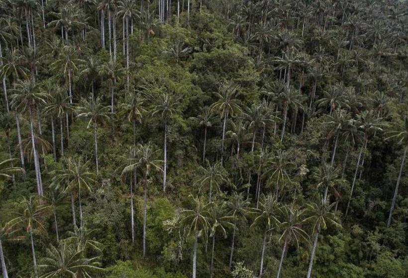 ペンション La Cigarra Casa De Huéspedes