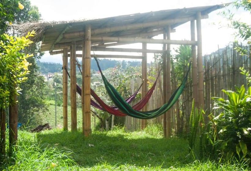 ペンション La Cigarra Casa De Huéspedes